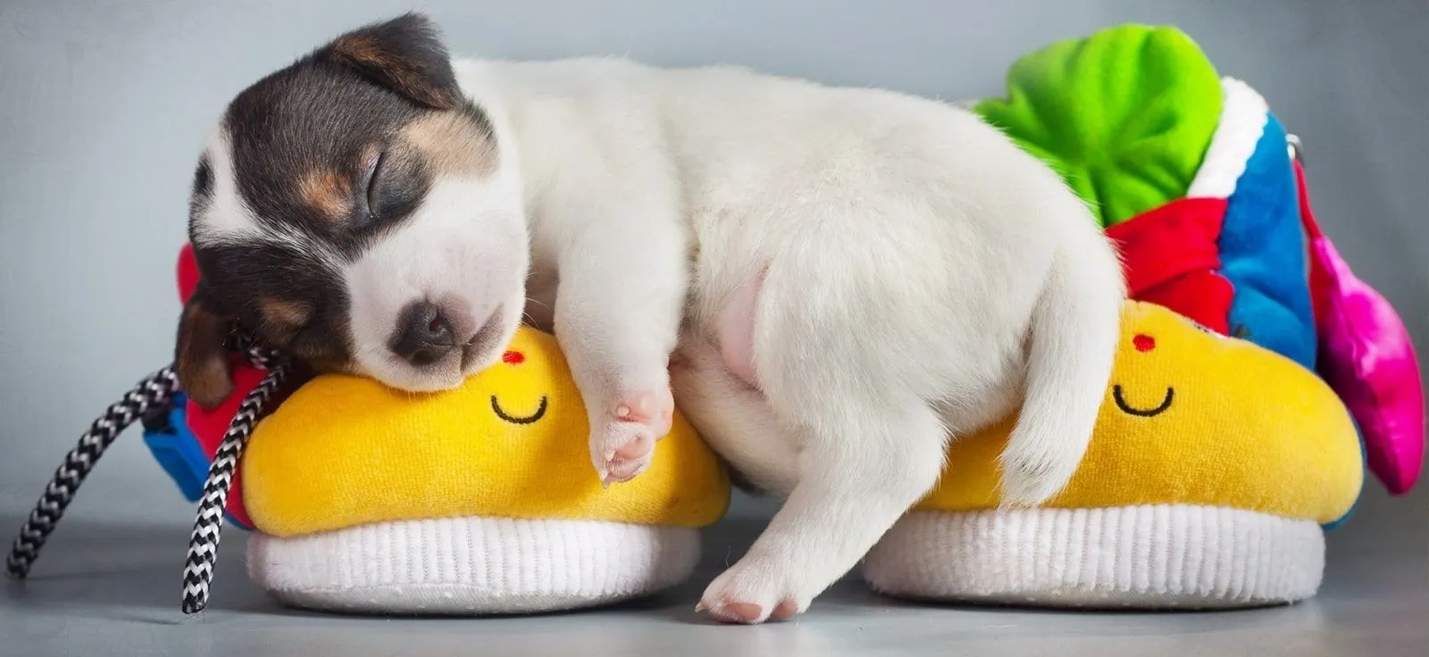 Graphic design work by Hamdan Ibne Muneer