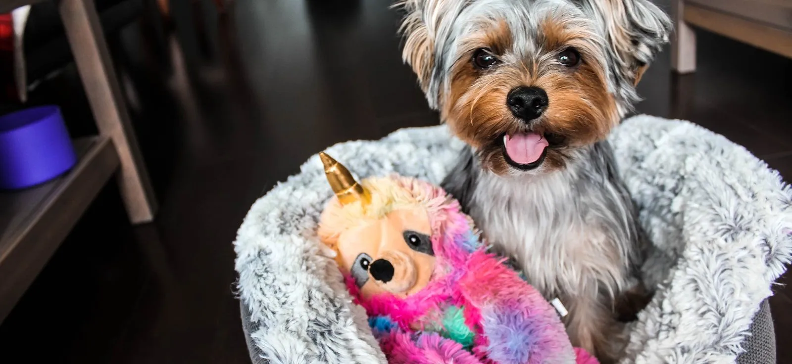 Graphic design work by Hamdan Ibne Muneer