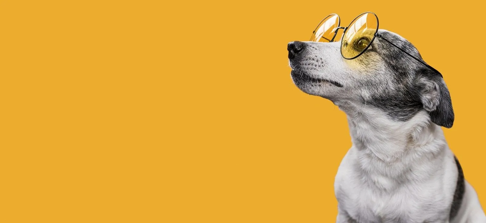 Graphic design work by Hamdan Ibne Muneer