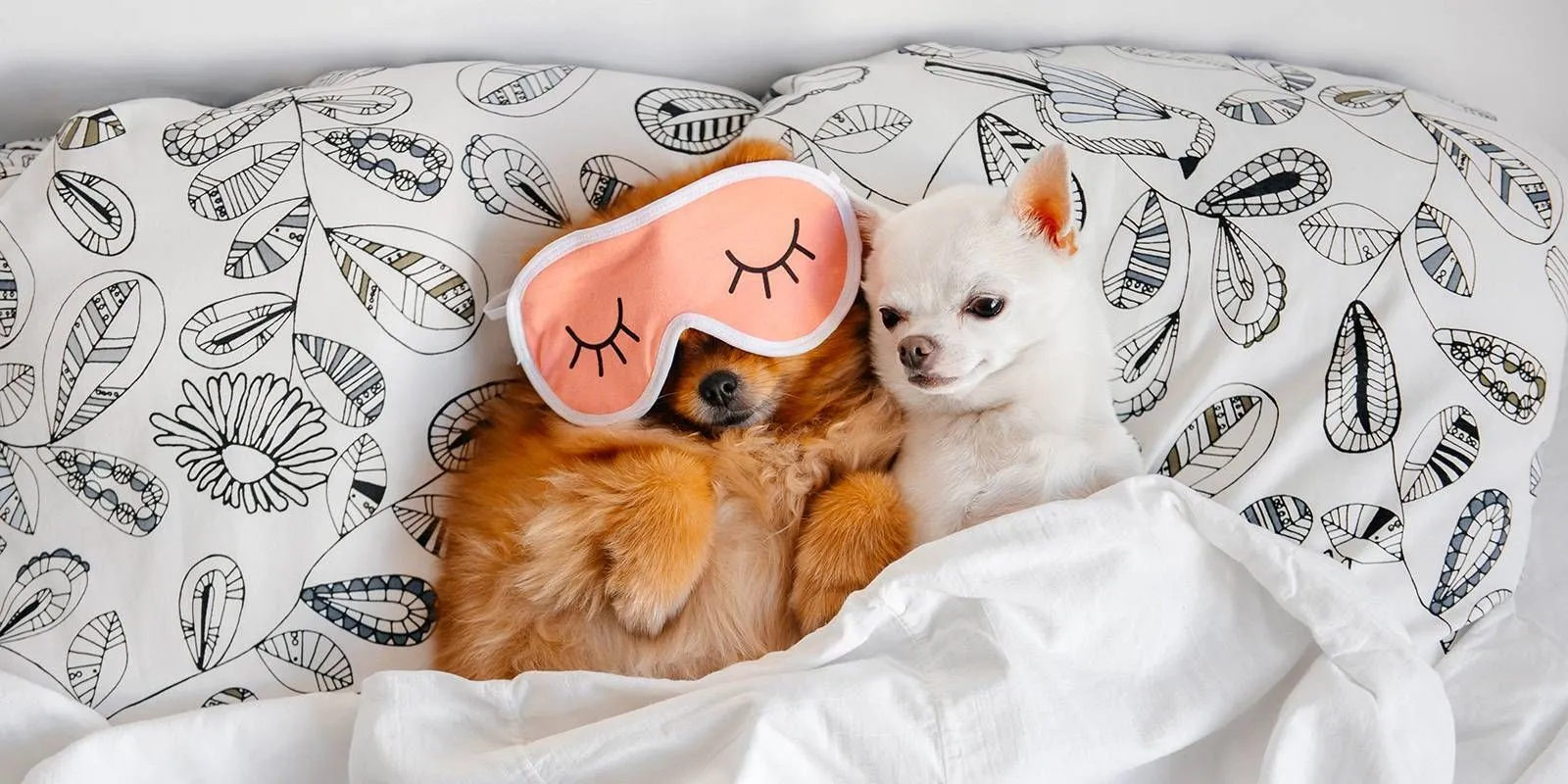 Graphic design work by Hamdan Ibne Muneer