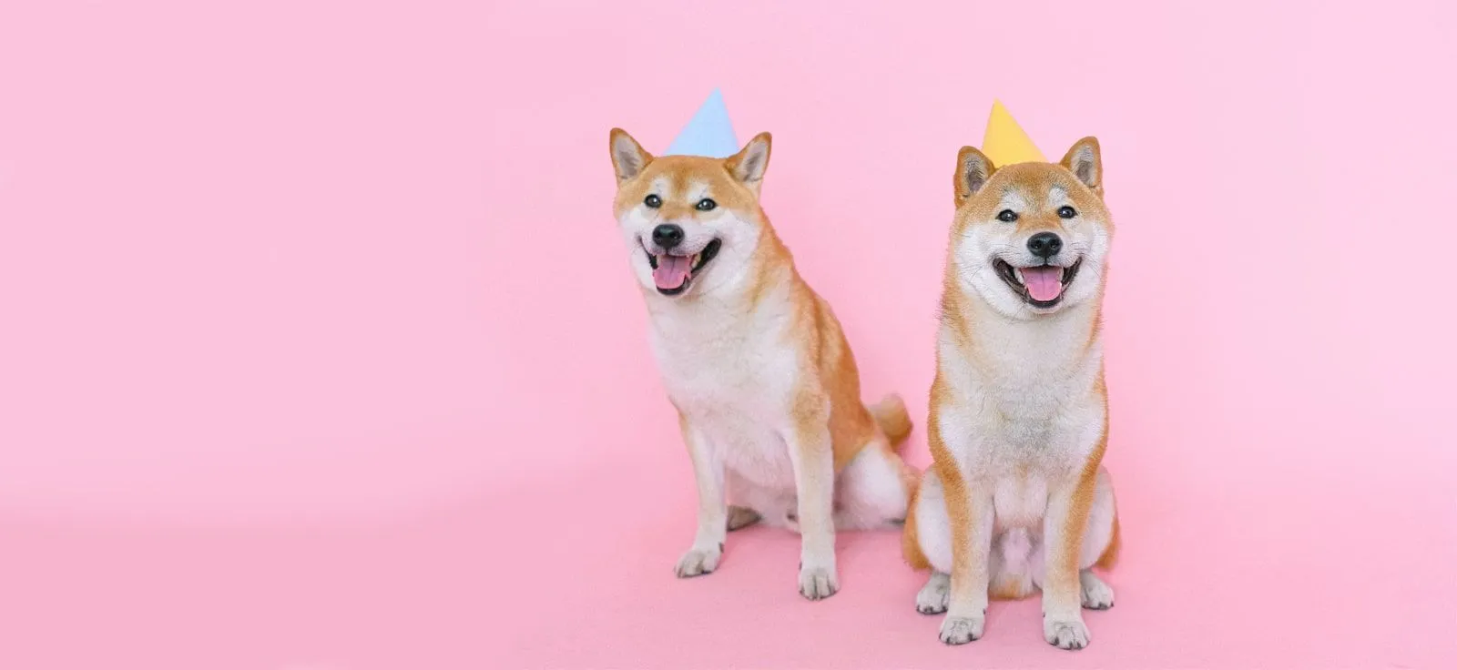 Graphic design work by Hamdan Ibne Muneer