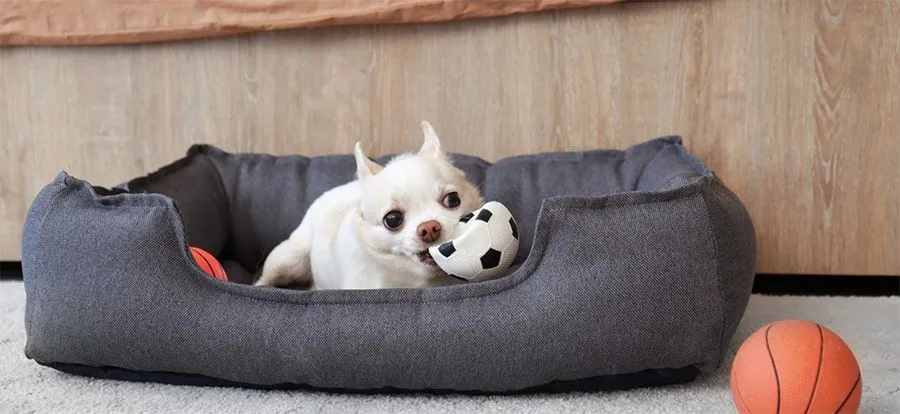 Graphic design work by Hamdan Ibne Muneer