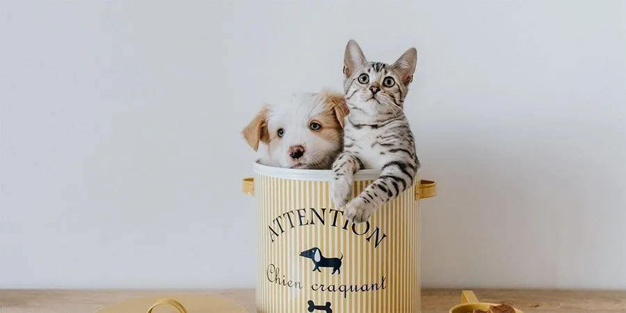 Graphic design work by Hamdan Ibne Muneer