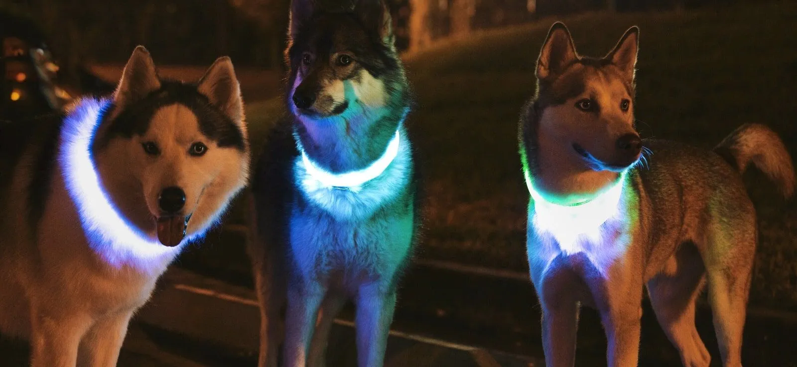 Graphic design work by Hamdan Ibne Muneer