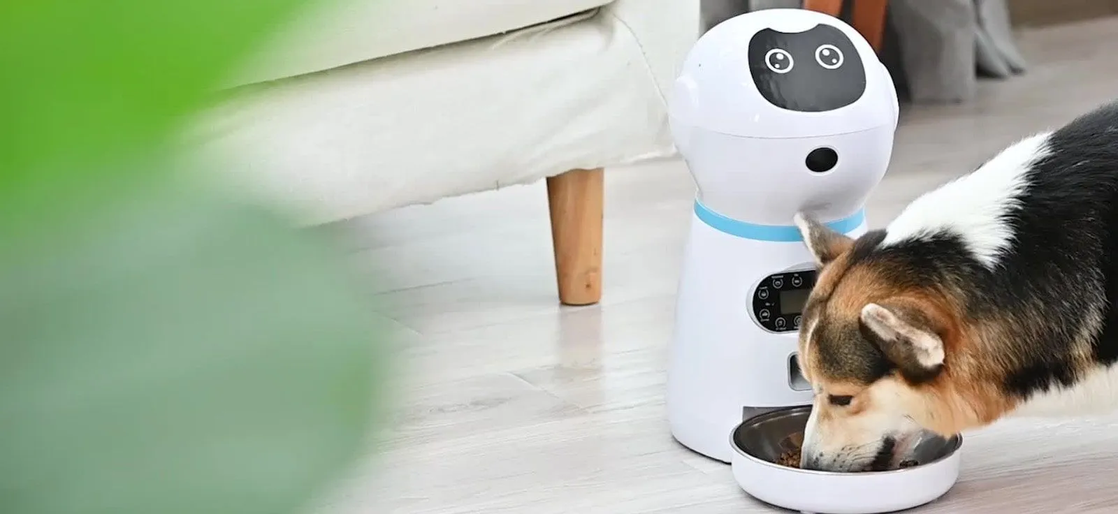 Graphic design work by Hamdan Ibne Muneer