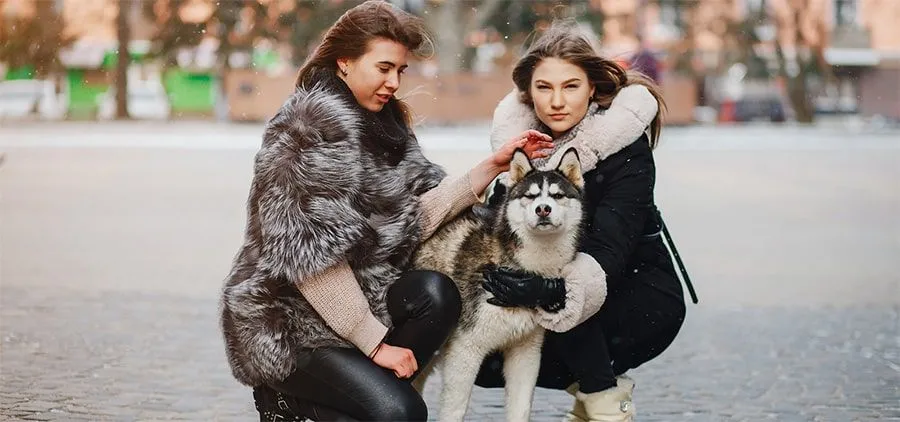 Graphic design work by Hamdan Ibne Muneer