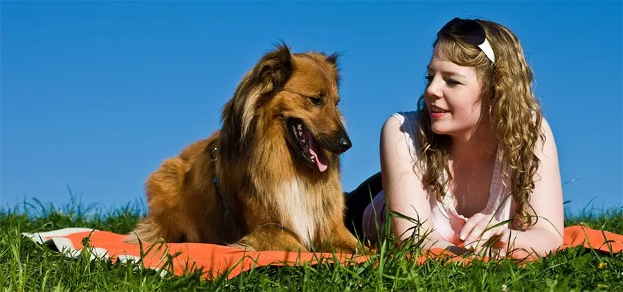 Graphic design work by Hamdan Ibne Muneer